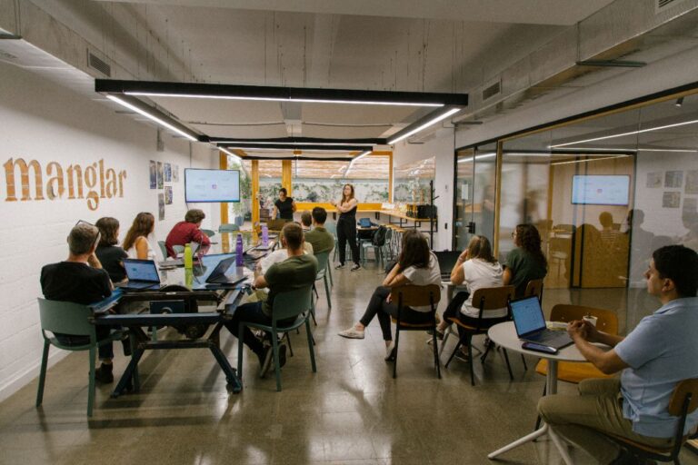 Formación IA Manglar